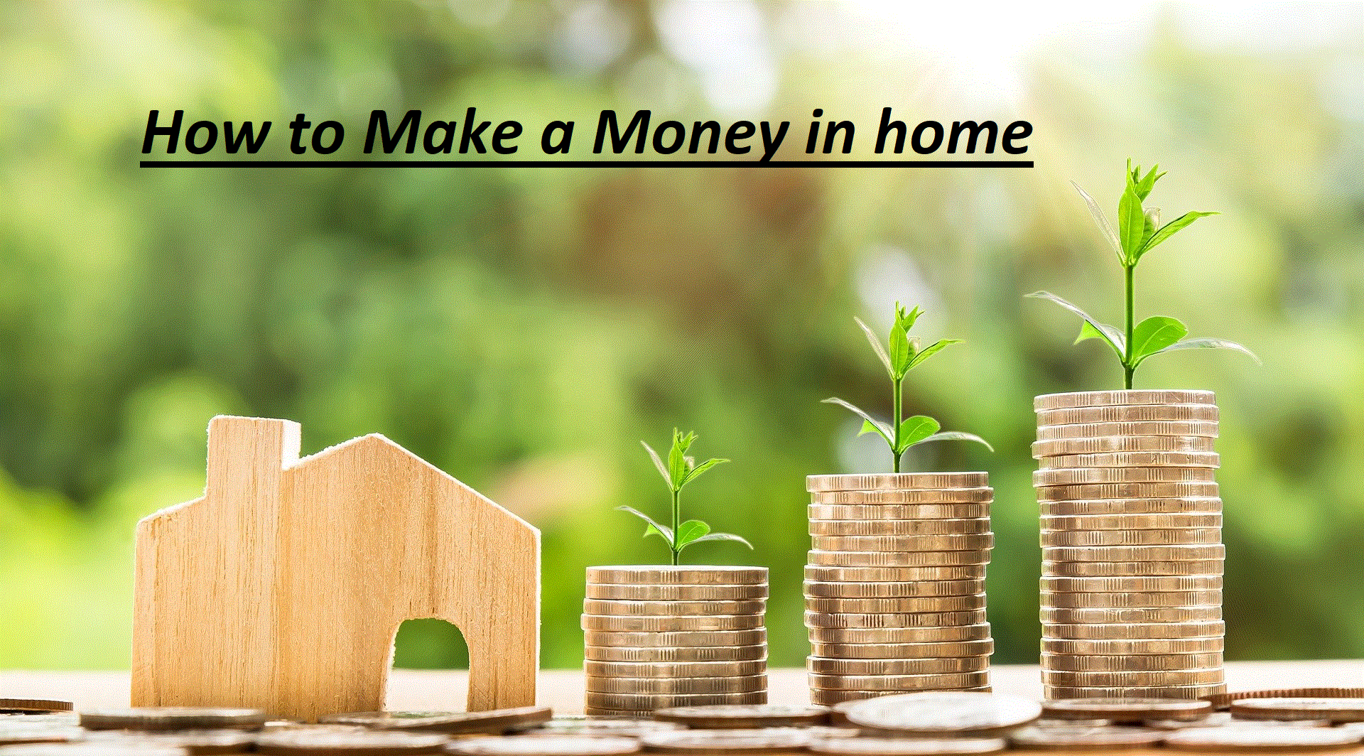 how-to-make-a-money-in-home-pankaj-blog